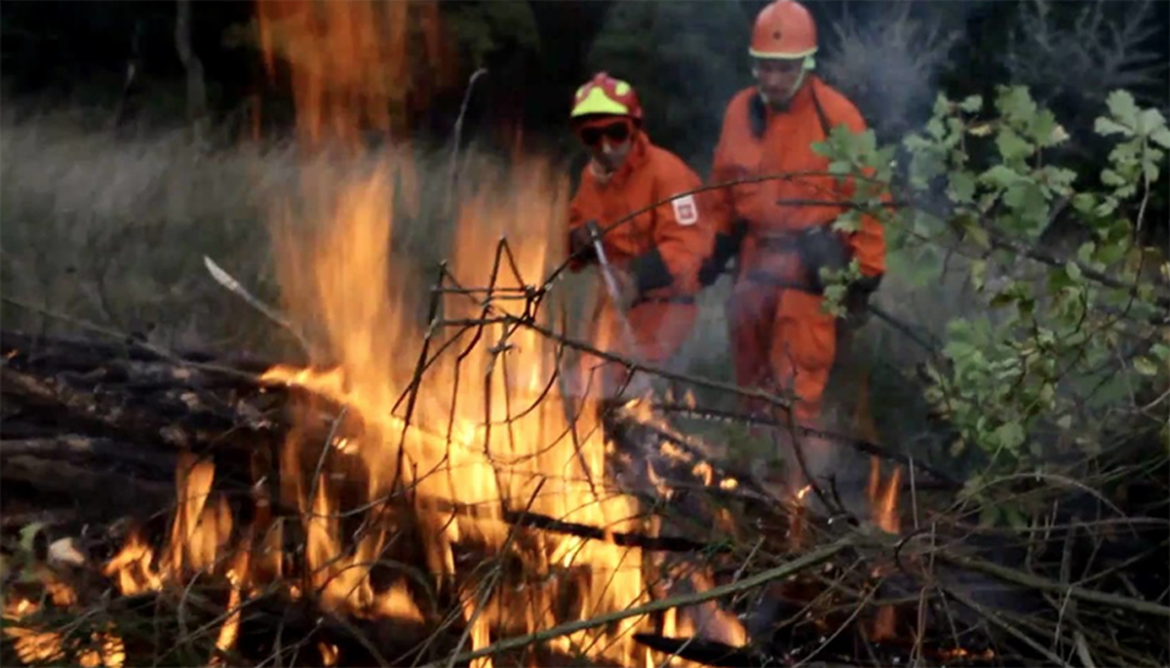 Messina. Video conferenza del Prefetto Di Stani per prevenzione incendi boschivi