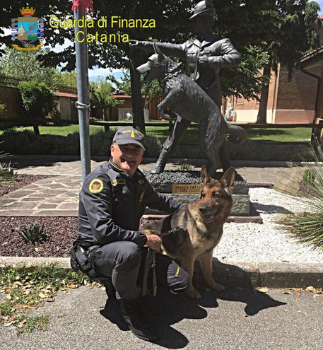 Zaro, cane antidroga della Gdf Catania va in “pensione”