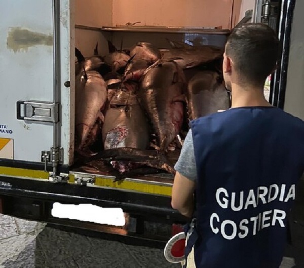 Catania: Guardia costiera sequestra 13 tonni rossi
