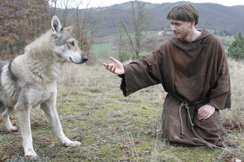 Francesco d’Assisi: Pace e realismo anche con il lupo