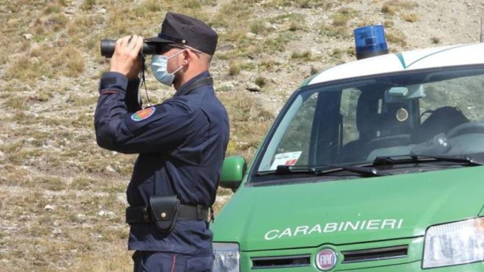 Carabinieri forestali, Calabria e Sicilia 54mila controlli nel 2022