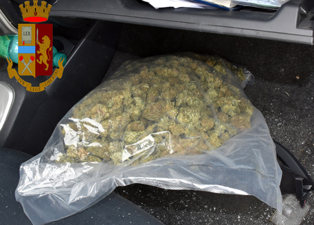 Droga: 1 kg marijuana in auto,fugge e si schianta su furgone