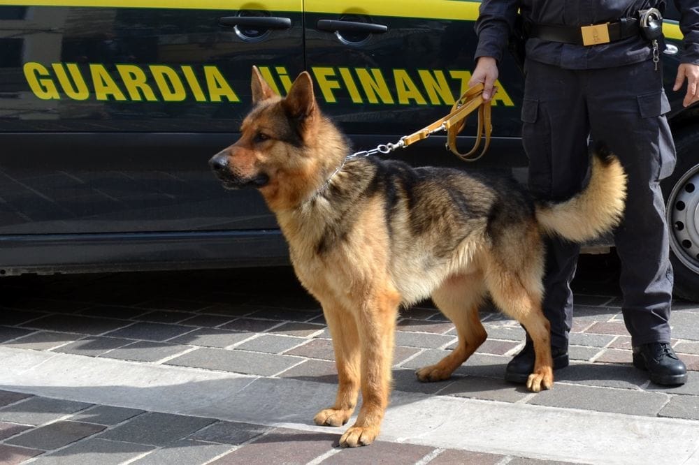 Messina, arrestato corriere di droga e sequestrati oltre 3 chili di “hashish”