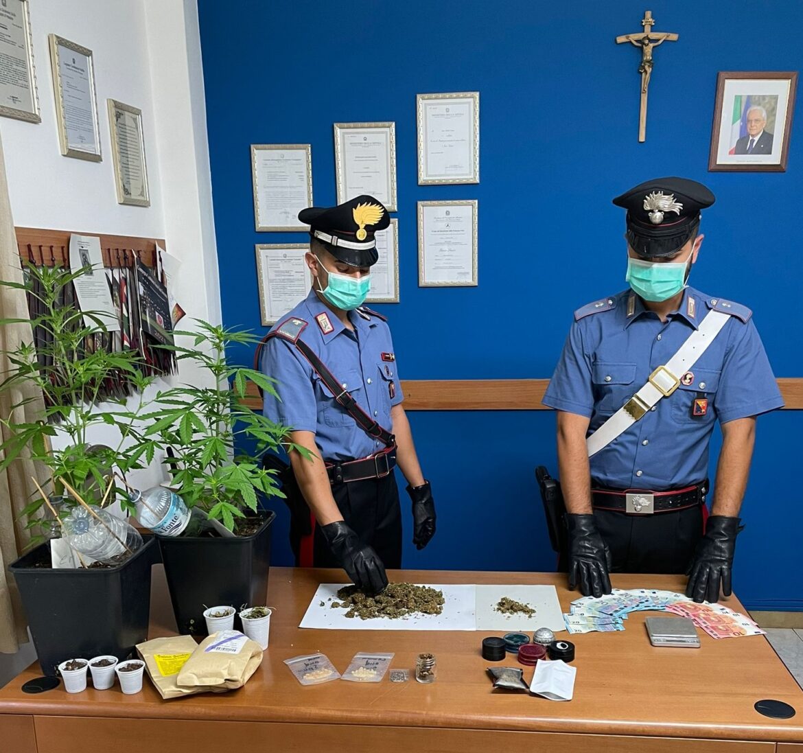 Gioiosa Marea: Carabinieri denunciano 32 enne, deteneva marijuana