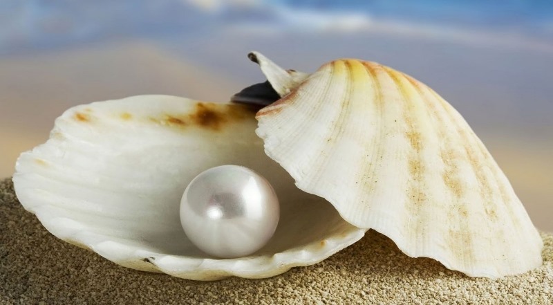 La perla preziosa e il tesoro nascosto