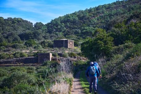 Dal trekking all’enogastronomia, dall’agricoltura al benessere, visite guidate tra sentieri Parco di Pantelleria