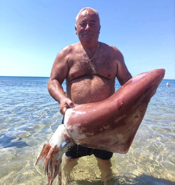 Calamaro gigante pescato in fondali del Trapanese